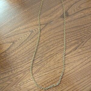 Stella And Dot Long Chain Necklace In Gold